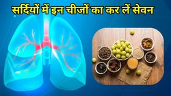 Winter Health Tips: आंवला समेत इन 5 चीजों का सर्दियों में जरूर करें सेवन, फेफड़े भी हो जाएंगे सुपरएक्टिव