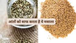 खाने से पहले सौंफ में इन 2 चीजों को मिलाकर खा लें, पेट से निकल जाएगी सारी गैस और आंतें हो जाएंगी साफ, जानिए कैसे करें सेवन
