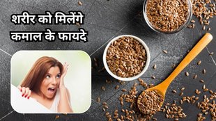 alsi ke beej ke fayde: अलसी बीज खाने के फायदे