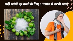 Amla Benefits: सेहत के लिए दिव्य अमृत है ये चटनी, रोजाना 1 चम्मच खा लीजिए सर्दी खांसी से लेकर हेयर फॉल तक से होगा बचाव, जानिए 4 फायदे