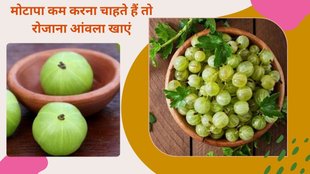 Amla benefits, Health benefits of amla, Amla for immunity, Amla for digestion, Amla for skin health, Amla for hair growth, Amla for heart health, Amla for weight loss, Amla for eyesight,