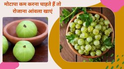 Gooseberry Benefits: आंवला 1 नहीं अनेक बीमारियों को करता है दूर, इन 4 बीमारियों से पीड़ित लोग इस औषधी से करें परहेज, आचार्य बालकृष्ण से जानिए फायदे