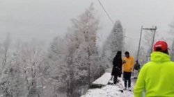 Weather Forecast: कश्मीर में बर्फबारी, मैदानों में कड़ाके की ठंड का अनुमान; इन इलाकों में घना कोहरा