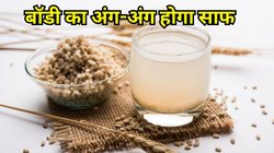 BP और शुगर के लिए अमृत है ये पानी, शरीर से बाहर निकल जाएंगे सारे टॉक्सिन, ये 3 बीमारियां भी हो जाएंगी छूमंतर