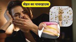 बादाम से भी ज्यादा शक्तिशाली है ये बीज, हर दिन एक मुट्ठी खाने पर पेट से लेकर दिमाग तक होगा इलाज, पेट की चर्बी भी होगी कंट्रोल