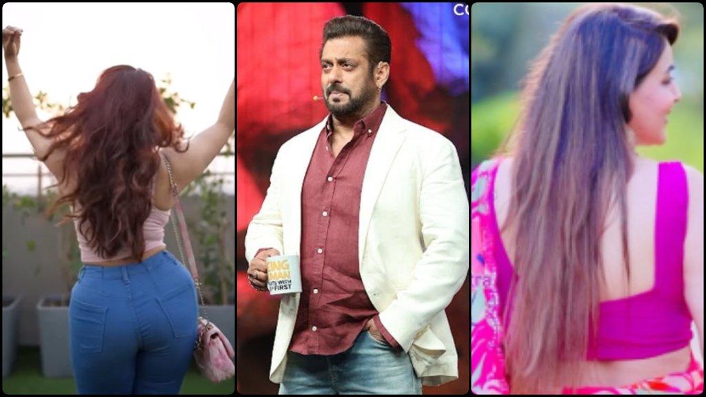 bigg boss 18 wild card