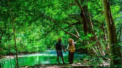 Blog: जैव विविधता संरक्षण नियमों को कठोर बनाना बहुत जरूरी, विकास के नाम पर अंधाधुंध हो रही पेड़ों की कटाई