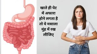Acidity, Cardamom, Benefits Of Cardamom, Elaichi Paani Ke Fayde, Mouth Infection, Elaichi Benefits, Elaichi Benefits for Mouth Infection, Elaichi Paani Ke Fayde in hindi,