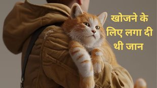 Pet Cat, Cat, Cat killed Owner, pet animal
