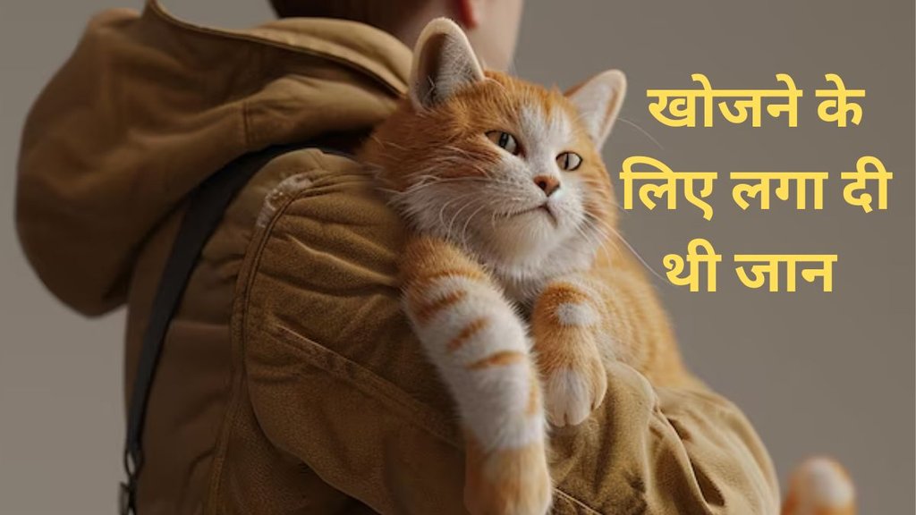 Pet Cat, Cat, Cat killed Owner, pet animal