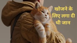 हे भगवान! जिस बिल्ली को बच्चे की तरह प्यार से पाला, उसी ने ले ली मालिक की जान, घर लौटी पत्नी मंजर देख रह गई दंग