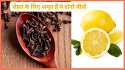 बेहतरीन ट्रेडिशनल मेडिसिन है लौंग, इसका सेवन नींबू के साथ करें सुधर जाएगी गट हेल्थ,जोड़ों का दर्द भी होगा दूर