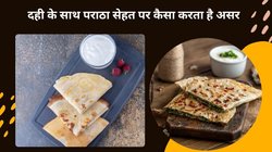 दही के साथ हरगिज़ न करें इन फूड का सेवन, Curd के साथ इनका कॉम्बिनेशन बन जाता है ज़हर, जानिए कैसे