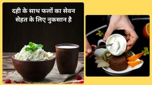 which foods avoid with Curd,दही के साथ क्या नहीं खाना चाहिए,दही और मीट-मछली,खीरे का रायता,दही और फल, curd health benefits,Yogurt with Fried item, Onion and Yogurt, Milk and Yogurt,