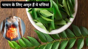 Curry Leaves for weight loss, Curry Leaves for improve digestion, Lifestyle,Curry Leaves,Curry patte,Curry Leaves Benefits And Uses ,curry leaves for weight loss,curry leaves for cholesterol,curry leaves face pack,curry leaves for hair growth,curry leaves for hair,curry leaves for skin,curry leaves for stomach problems