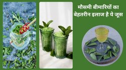 Curry Leaves Tea: बदलते मौसम में सर्दी- जुकाम से परेशान हैं तो इन पत्तियों की चाय बना कर पी लें, बंद गला हो जाएगा साफ, बहती नाक हो जाएंगी कंट्रोल