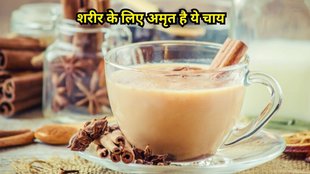 dalchina chekka ke fayde: दालचीनी के फायदे
