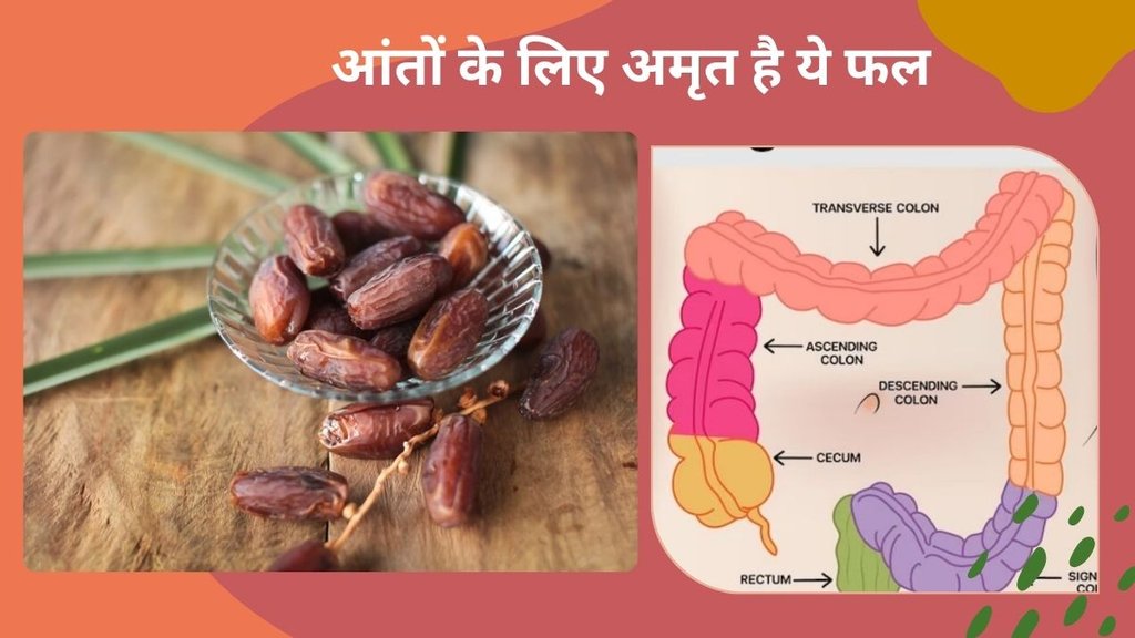 health benefits of dates,latest news , benefits of raw dates, where are dates produced , health tips , in which season are dates available ,Strengthens immune system,