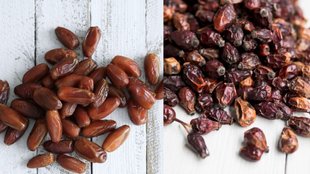 dates palm seeds benefits: खजूर के बीज के फायदे