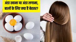 Egg for hair । Hair Care । Hair Care Tips