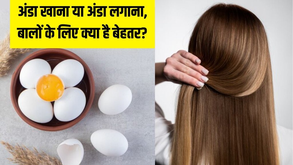 Egg for hair । Hair Care । Hair Care Tips