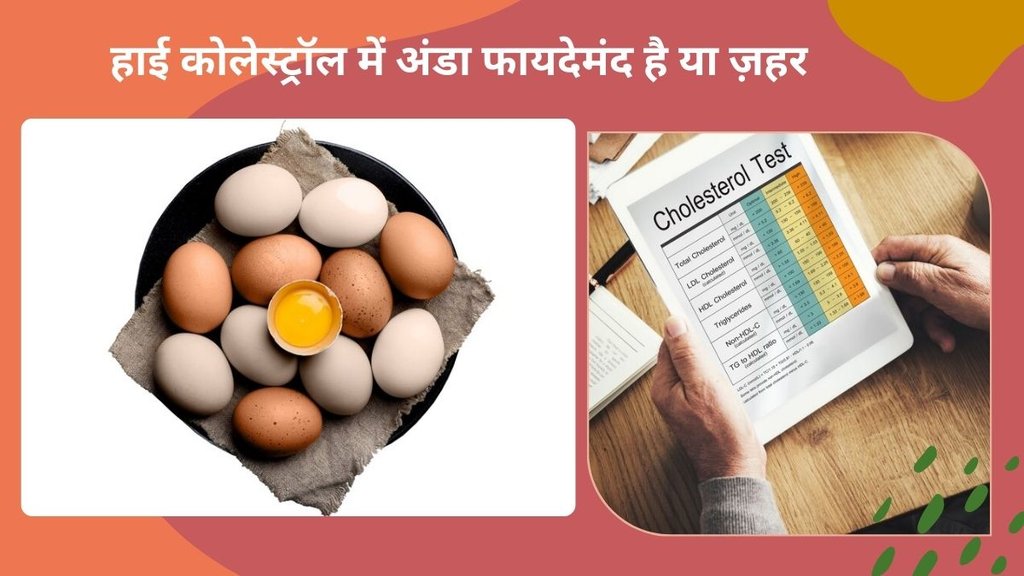 Can I Eat Eggs If My Cholesterol Is High, kya ande se cholesterol badhta hai, do eggs raise cholesterol, do eggs increase cholesterol, cholesterol, ek din mein kitne ande khana chahiye