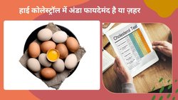 हाई कोलेस्ट्रॉल में अंडा खाना चाहिए या नहीं, क्या Egg दिल के लिए है खतरा? एक्सपर्ट से जानें सच्चाई