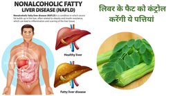 Moringa Leaves: बासी मुंह इन पत्तियों को चबा लें liver के कोने-कोने की छट जाएगी चर्बी, लिवर से जुड़ी बीमारियों का टल जाएगा खतरा, बॉडी को मिलेंगे 4 फायदे