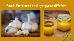 लहसुन का सेवन गाय के घी में भूनकर करें तो बन जाएगा अमृत, 4 रोगों का जड़ से हो जाएगा सफाया, बाबा रामदेव से जानिए फायदे