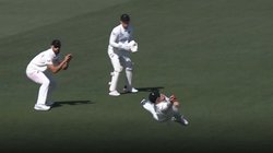ग्लेन फिलिप्स ने हवा में एक हाथ से लपका कैच, तोड़ी हैरी ब्रूक और ओली पोप की शतकीय साझेदारी; देखें VIDEO