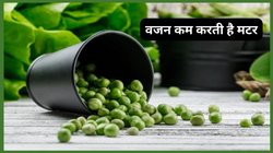 Nutrition Value: सर्दी में 100 ग्राम मटर का सेवन रोजाना किया जाए तो सेहत पर कैसा होता है असर, एक्सपर्ट से जानिए