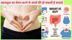 दिन में बार-बार खाने से आंतों में सड़ने लगती है गंदगी, बॉडी में जमा टॉक्सिन निकालने के लिए अपनाएं ये 4 तरीके, कोलन की हो जाएगी सफाई