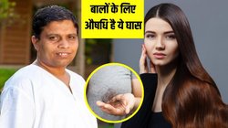 बेकार नहीं औषधि है ये घास, आचार्य बालकृष्ण ने बताया बालों को कमर तक कर देगी लंबा, जानें कैसे करना है इस्तेमाल