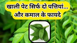 खाली पेट चबा लें ये पत्ता, शरीर से सभी साइलेंट किलर बीमारियों का हो जाएगा अंत, आंखों के समस्या और डायबिटीज भी रहेगा कंट्रोल