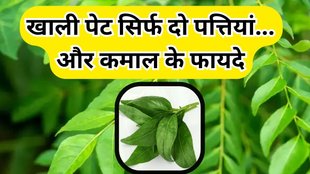 Kari Patta Benefits For Stomach: करी पत्ते के फायदे