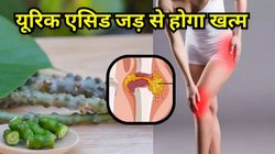 Uric Acid Control: यूरिक एसिड को तेजी से कंट्रोल करती है ये जड़ी-बूटी, जानें इसके फायदे और कैसे करें इस्तेमाल