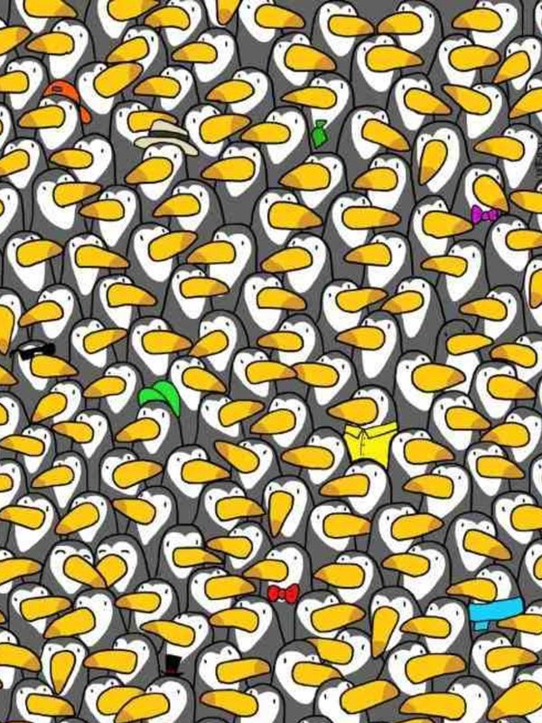 hidden optical illusions