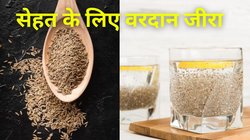 पेट की सारी चर्बी पिघला देगा गर्म जीरे का पानी, बीपी-शुगर ही नहीं… बॉडी भी हो जाएगी डिटॉक्सीफाई, बस ऐसे करना होगा इस्तेमाल