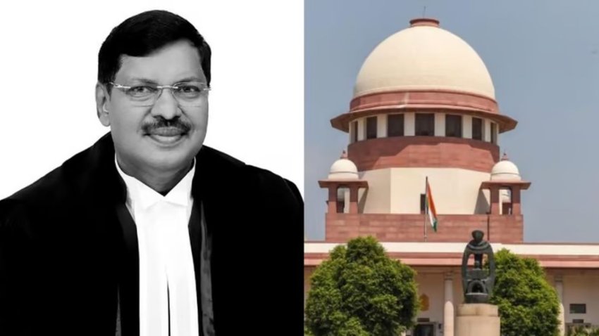 Supreme court, supreme court on bulldozer action,