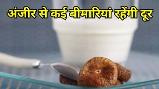 Anjeer Benefits: अंजीर के फायदे