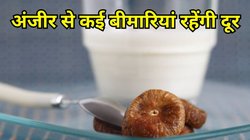 Anjeer Benefits: सेहत के लिए अमृत है अंजीर, दूध के साथ सेवन करने पर कई बीमारियों से मिलेगा छुटकारा