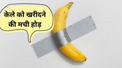 52 करोड़ में क्यों बिका टेप से चिपका हुआ यह केला? वजह जान दंग रह गए लोग, खरीदने वाले ने कहा- मैं इसे खाने वाला हूं, Video Viral