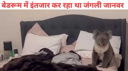 काम से घर लौटे कपल, बेडरूम में इंतजार कर रहा था अनोखा मेहमान, देखकर उड़े होश, Video Viral