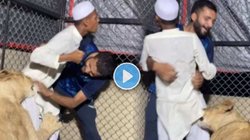 शेर के साथ पिंजरे में घुसकर खेल रहे थे शख्स, अचानक जंगल के राजा ने किया हमला, फिर जो हुआ…वायरल वीडियो देख छूट जाएंगे पसीने