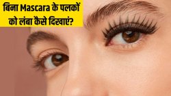 Mascara लगाने से भी ज्यादा लंबी और घनी लगेंगी आपकी पलकें, बस अपना लें ये मेकअप हैक