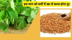 मेथी दाना नहीं बल्कि उसका साग भी है सुपरफूड, मोटापा पर करता है वार, पाचन की नहीं होती कोई दिक्कत