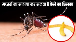 How to use banana peel for mosquito । Banana peel for mosquito bites य़ Banana mosquito repellent