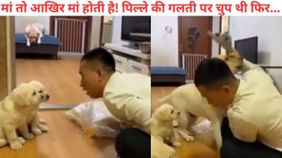 viral news, dog viral video, Viral Video, pet dog