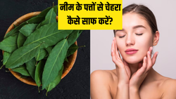 Morning Mantra: नीम के पत्तों से चेहरा कैसे साफ करें? रोज सुबह ये काम करने से बढ़ जाएगा चेहरे का नूर
