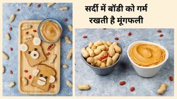 Peanuts for Weight Loss: सर्दी में मूंगफली का सेवन करने से वजन बढ़ता है या घटता है? एक्सपर्ट से जानिए सच्चाई